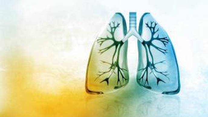 Immunotherapy Shows Potential in Treating Lung Fibrosis