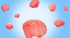 ReachMD Healthcare Image