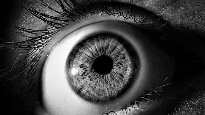 Retinal Texture Could Provide Early Biomarker Of Alzheimer’s Disease