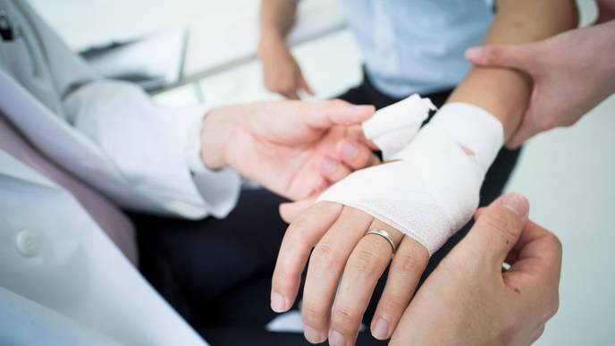 A New Approach to Understanding the Biology of Wound Healing