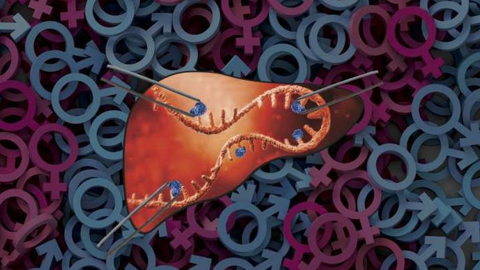 RNA Modification May Protect Against Liver Disease & Explain Liver Fat Differences Between Sexes