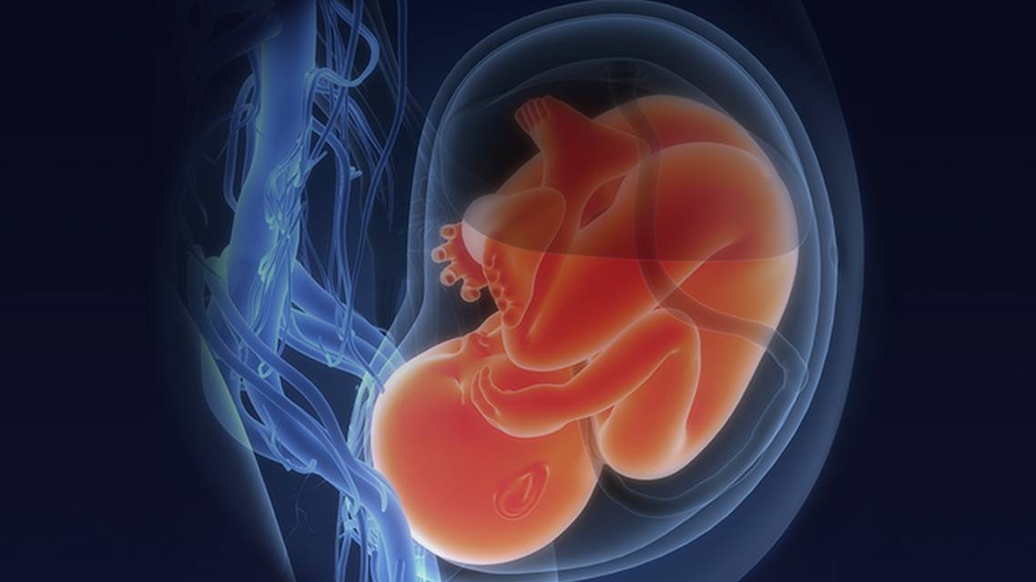 ReachMD Healthcare Image