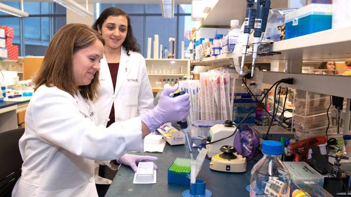 UC Study Sheds Light on Cancer Treatment & COVID-19