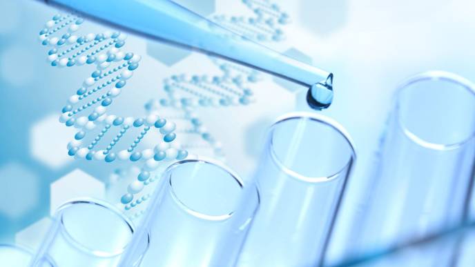 ReachMD Healthcare Image