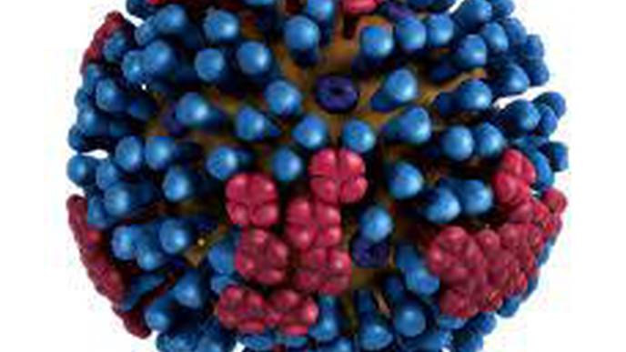 Fast-Spreading Mutation Helps Common Flu Subtype Escape Immune Response