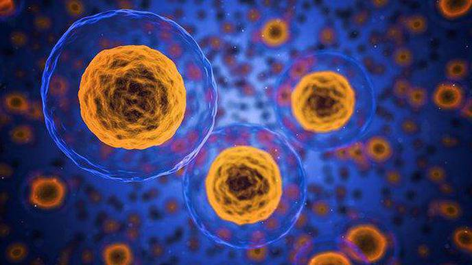 Computer Model Uses Virus 'Appearance' to Better Predict Winter Flu Strains