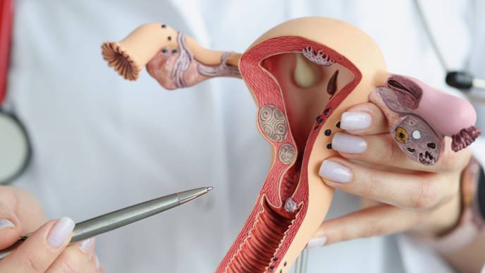 ReachMD Healthcare Image