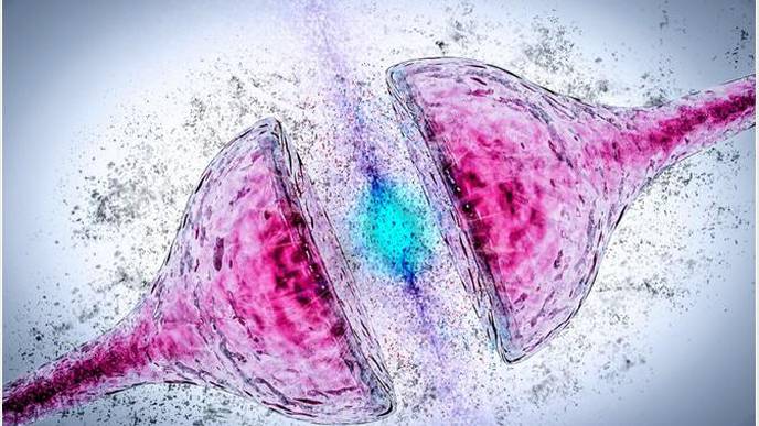 Gut Bacteria Affecting Parkinson’s Treatment