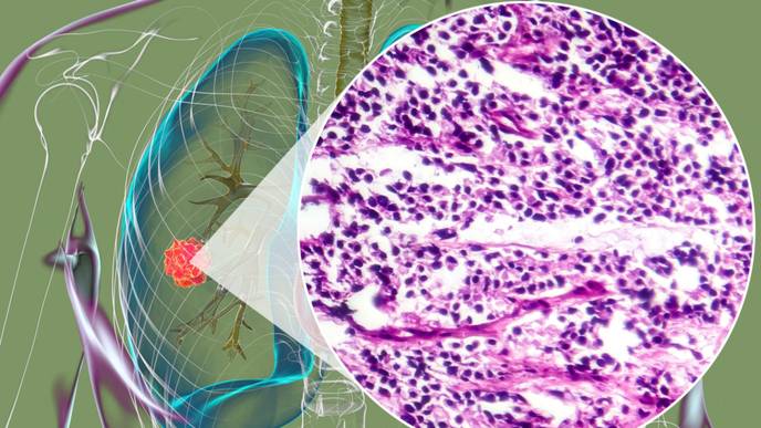 ReachMD Healthcare Image