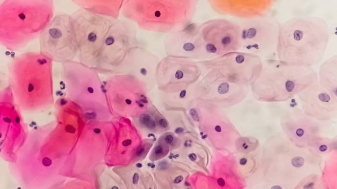 ReachMD Healthcare Image