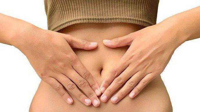 High-Fat Diet with Antibiotics Use Linked to Gut Inflammation