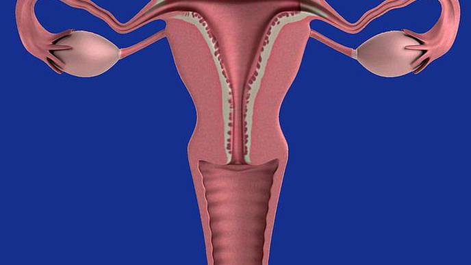 Aspira Women’s Health Initiates Prospective Clinical Study for Benign Risk Monitoring and High Risk Early Ovarian Cancer Detection with Northwell Health®