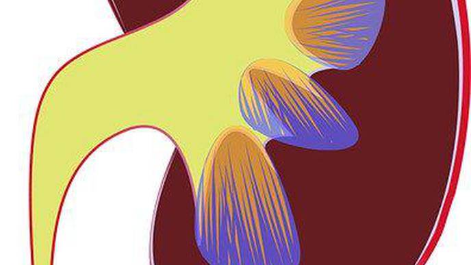 Establishing a Task Force to Reassess the Inclusion of Race in Diagnosing Kidney Diseases