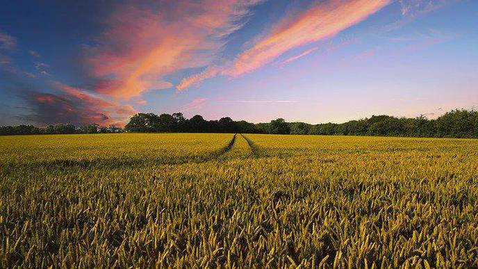Mental Health Disparities Impact Rural Communities