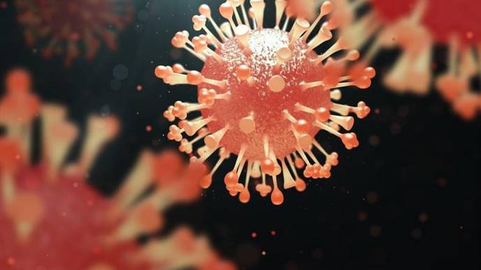 ReachMD Healthcare Image