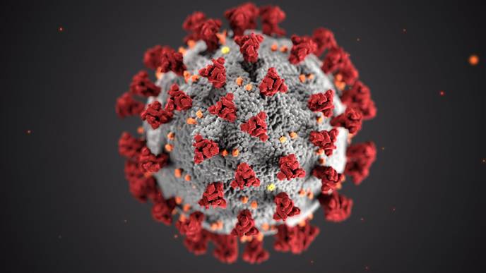 Black & Asian Patients Have Increased Risk of Severe COVID-19 at Different Stages of the Disease