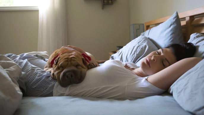Napping for More Than an Hour Could be Bad for Your Heart Health