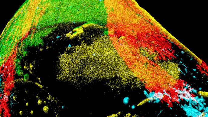 ReachMD Healthcare Image