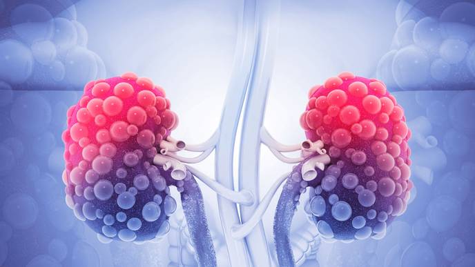 ReachMD Healthcare Image
