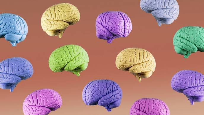 Lab-Grown 'Mini-Brains' Suggest COVID-19 Can Infect Human Brain Cells