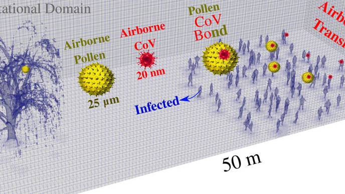 Tree Pollen Facilitates COVID-19 Virus Spread – Carries SARS-CoV-2 Particles Farther