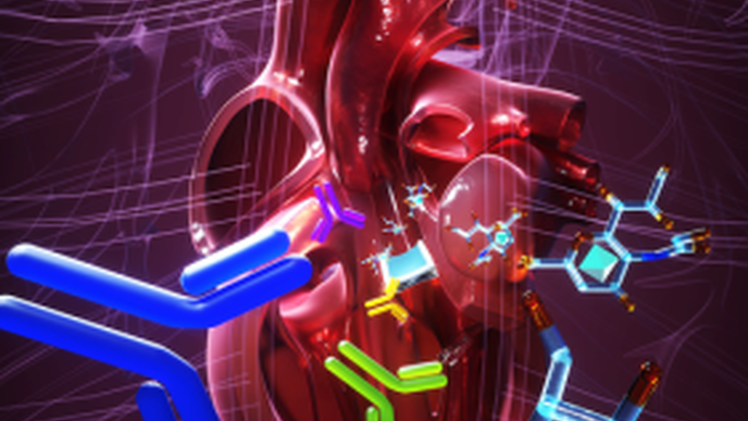 ReachMD Healthcare Image