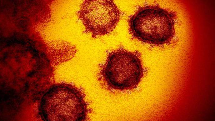 Study Offers Global Review of Impact of COVID-19 on Cancer Treatment & Research