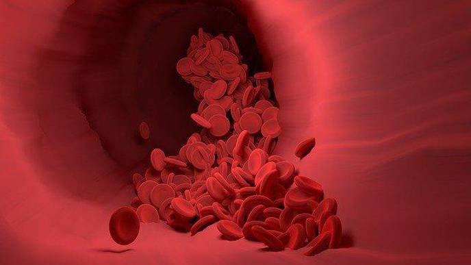 Researchers Find Link Between Blood Vessel Inflammation & Malfunctioning Cellular Powerhouses