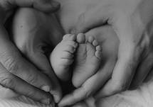 Red Blood Cell Alloimmunization, Pathophysiology, Diagnosis, Treatment, and Prevention