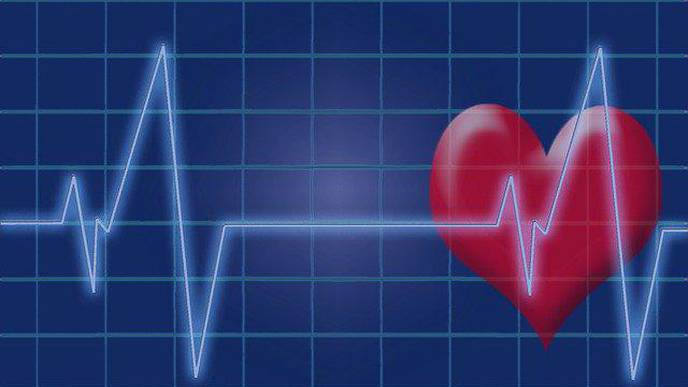 Regular Exercise Helps Prevent High Blood Pressure, Even in Areas of High Air Pollution
