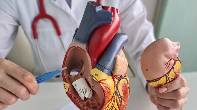 ReachMD Healthcare Image