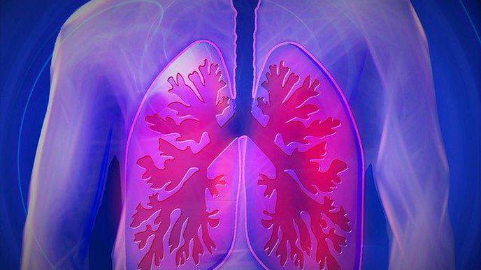 Undersized Airways May Explain Why Nonsmokers Get COPD