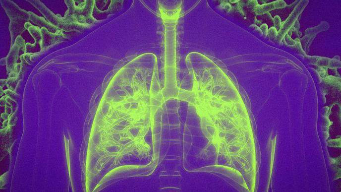 Vaccination by Inhalation Boosts Immune Responses to Respiratory Infections & Lung Cancer