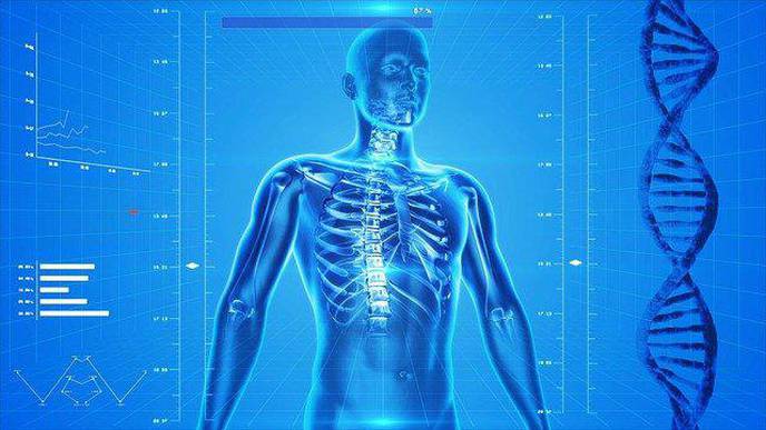 ReachMD Healthcare Image
