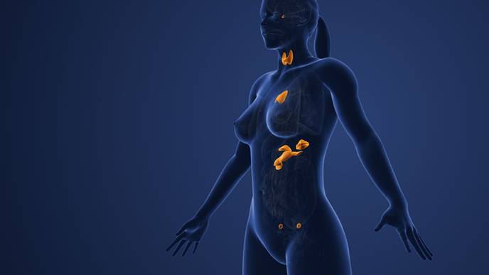 ReachMD Healthcare Image