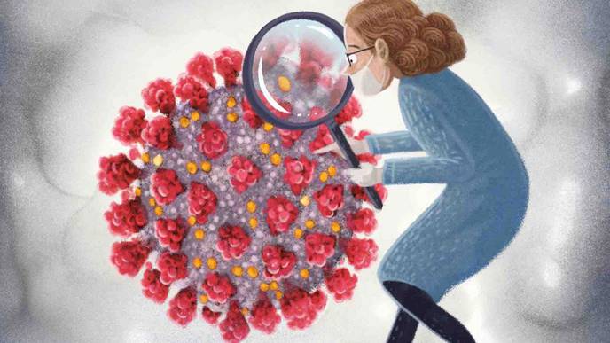 UVA Creates Important New Tool for Developing COVID-19 Treatments, Vaccines