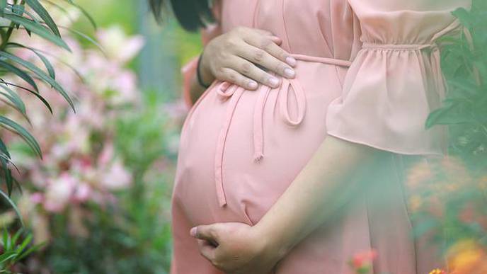 Predicting Preterm Birth in Pregnancies of Women with Systemic Lupus Erythematosus