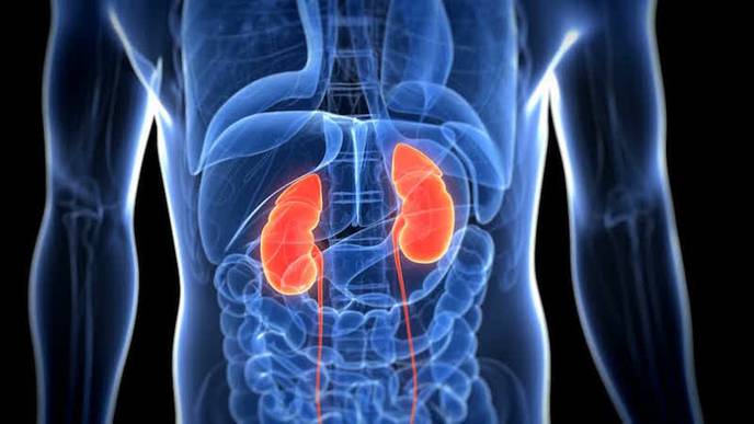 Specific Kidney Proximal Tubular Injury Caused by COVID-19