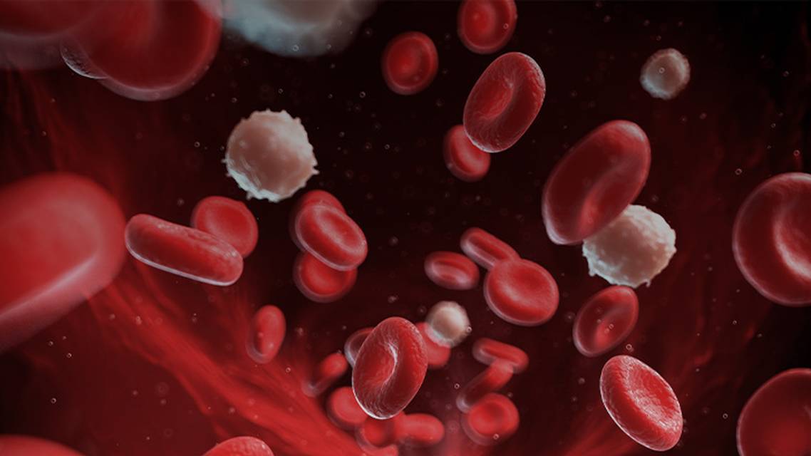 ReachMD Healthcare Image