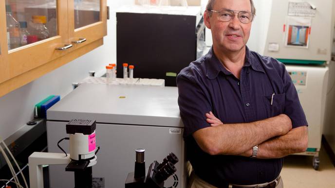 COVID-19 Studies Should Also Focus on Mucosal Immunity, Researchers Argue