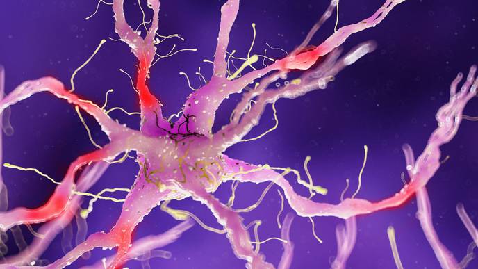 Some COVID-19 Survivors May Have Permanent Nerve Damage