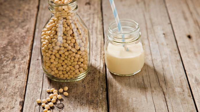 Using Soy to Improve Bone Cancer Treatment