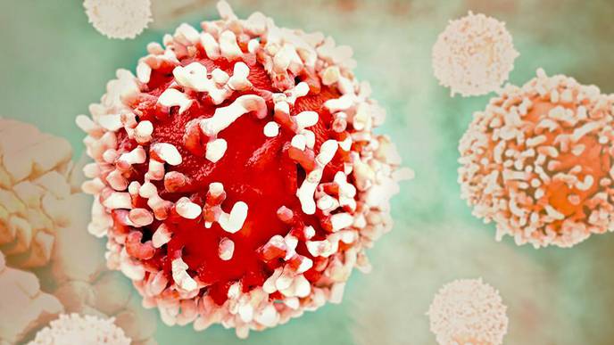 Blocking a ‘Jamming Signal’ Can Unleash Immune System to Fight Tumors